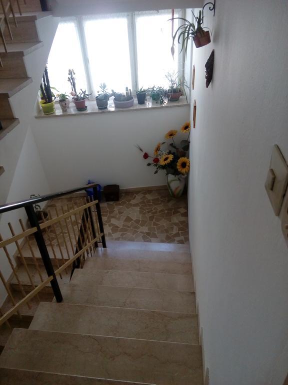 Casa Trettel Lägenhet Tesero Exteriör bild